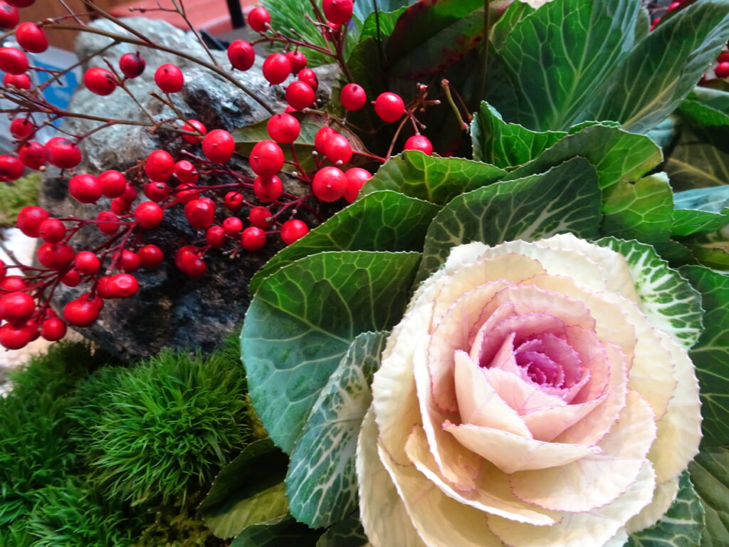 胸痛を感じたら その5 胸痛の診断に役に立つ検査 心筋梗塞がわかる心筋トロポニンT みたに内科循環器科クリニックブログ 横浜市いずみ